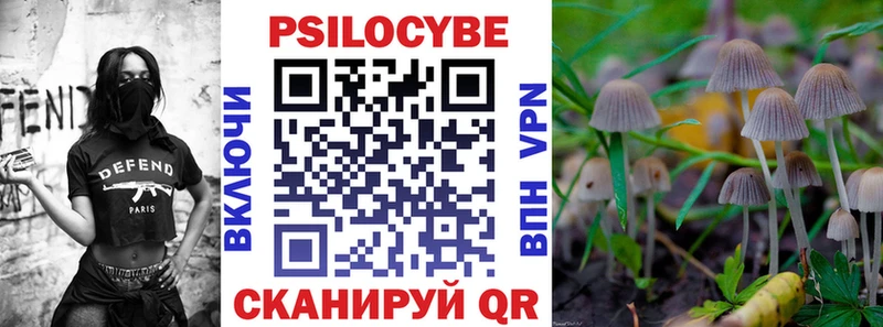 ссылка на мегу tor  Электросталь  Псилоцибиновые грибы GOLDEN TEACHER 